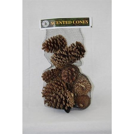 WINTER WOODS Winter Woods 9062278 Cinnamon Scented Cones - Pack of 14 - Pack of 20 9062278